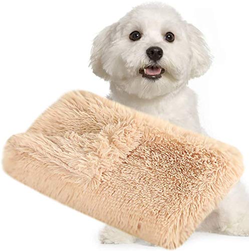 NC Fluffy Plush Blankets for Dogs, Double Sided, Super Soft Warm Blanket for Dogs, Bed Blanket, Pet Blanket, 36 x 56 cm, Beige - PawsPlanet Australia