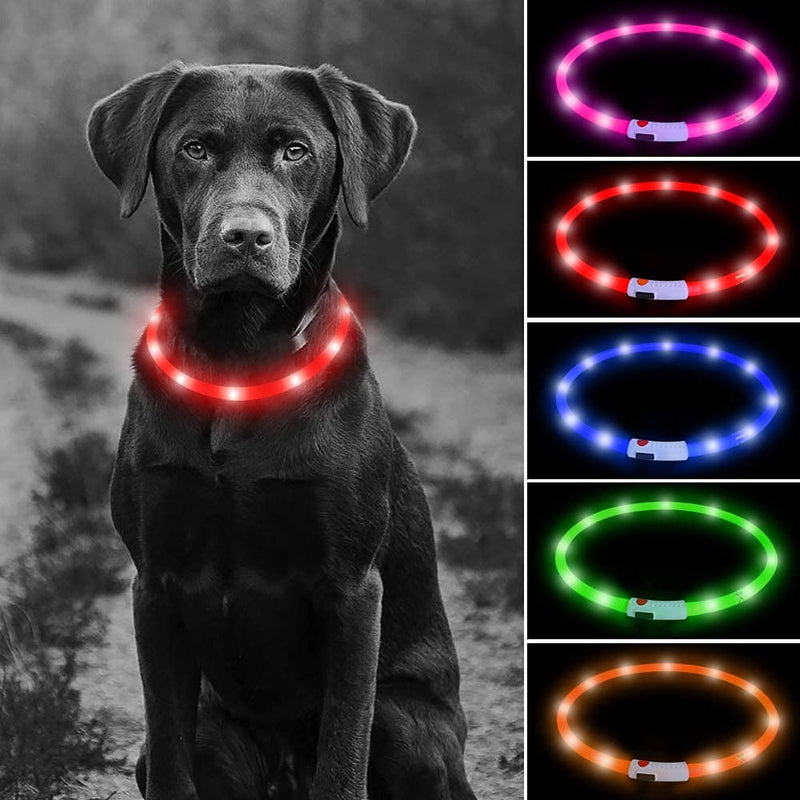 LED Dog Collar, USB Rechargeable Charger Glowing Pet Safety Collars, Adjustable Cut to Any Size Fashion Night Safety Light Up Dog Collar for Small Medium Large Dogs Cats Pets-3 Modes 12 Lights (Red) Red - PawsPlanet Australia