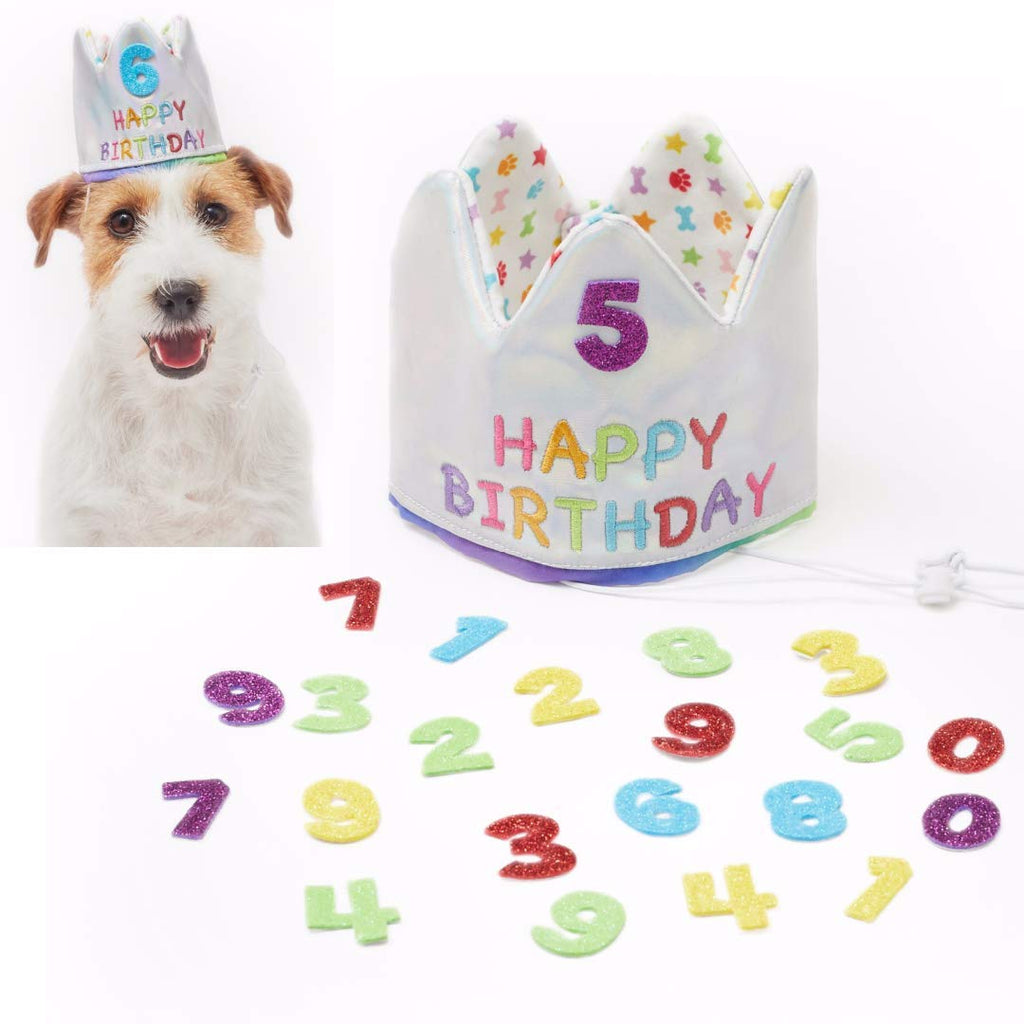 Pet London Happy Birthday Reversible Crown Hat for Dogs & Cats-Add Any Age-Glitter Numbers (20pcs) Reusable - Celebrate Pets Birthday - embroidered with HAPPY BIRTHDAY (Small) Small - PawsPlanet Australia