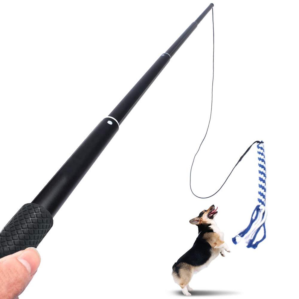 Extendable Durable Teaser Wand Dog Toy Stick Flirt Fishing Pole for Dogs Training - PawsPlanet Australia