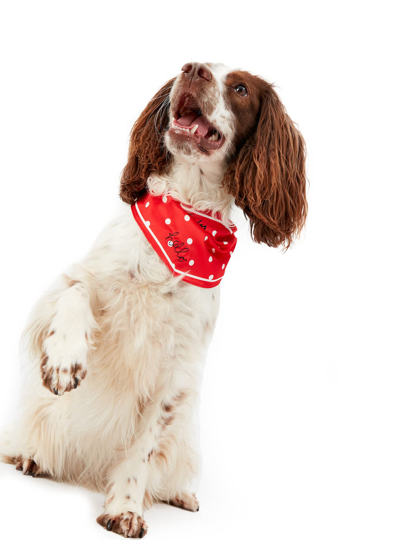 Rosewood Joules RED HELLO POLKA DOT NECKERCHIEF - PawsPlanet Australia