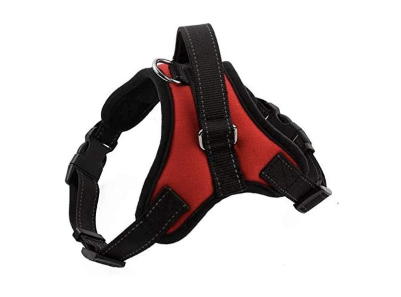 Ziggles No Pull Dog Harness, Breathable Adjustable Comfort for Small Medium Large Dog, Best for Training Walking (S) S - PawsPlanet Australia