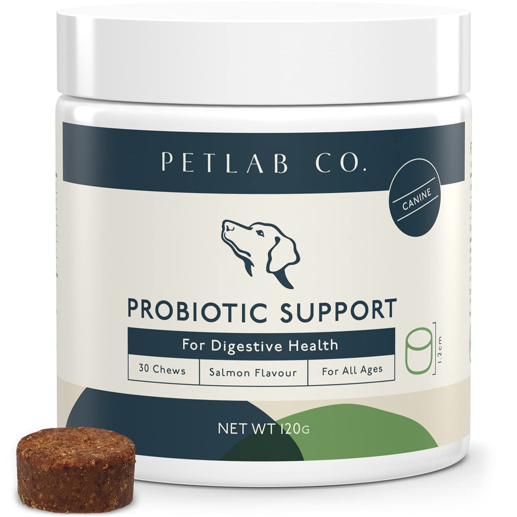 Petlab Co. Dog Probiotic Chew Supplement | Supports Gut Health & Body’s Natural Defences | Probiotics For Dogs – Formulated WIth Inulin, Bacillus subtilis, Kelp & Blueberries - PawsPlanet Australia