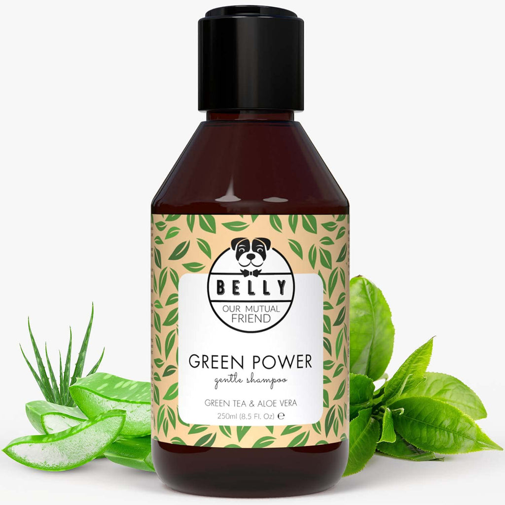 Belly Organic Dog Shampoo & Puppy Shampoo - Natural Dog Shampoo For Smelly Dogs - Sensitive Dog Shampoo For Dry Itchy Skin - Grooming Products For Dogs, Deshedding Shampoo For Dogs Pet Shampoo 250 ml - PawsPlanet Australia