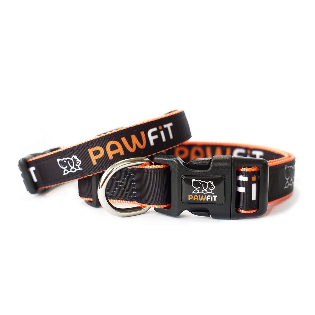 Pawfit Collar, Nylon Dog Collar with Safety Buckle, Adjustable Pet Collars with Quick Release Buckle Medium Black - PawsPlanet Australia