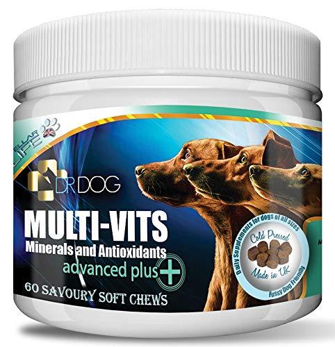 DR DOG Multivitamin for Dogs – 60 Natural Soft Chews Tasty Treats – Essential Multivitamins Minerals Antioxidants – Fussy Friendly Chewable Pet Multi Vitamin - Made in UK - PawsPlanet Australia