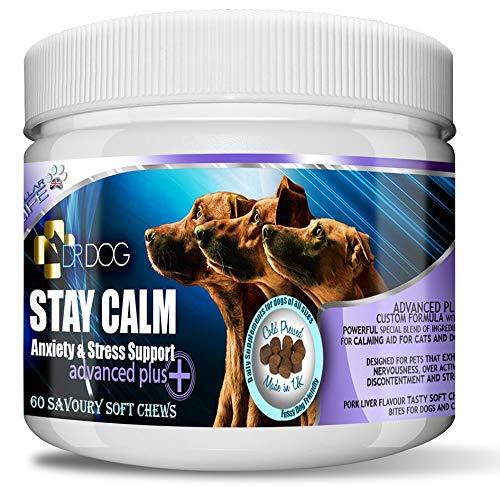 DR DOG Stay Calm Anxiety Calming Supplement for Dogs – 60 Natural Soft Chew Tasty Treats - Stress Nervous Hyperactivity Relief Vet Grade Aid – Fussy Pet Friendly - Made in UK - PawsPlanet Australia