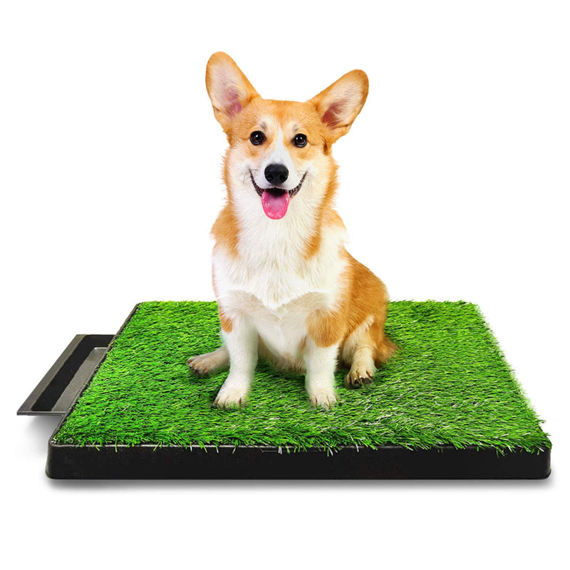 Hompet Dog Toilet Indoor Puppy Training Pad, Dog Potty Pet Training Grass Mat, Removable Waste Tray For Easier Clean Up, Non-toxic Artificial Turf, 63cm x 51cm 1 Count (Pack of 1) - PawsPlanet Australia