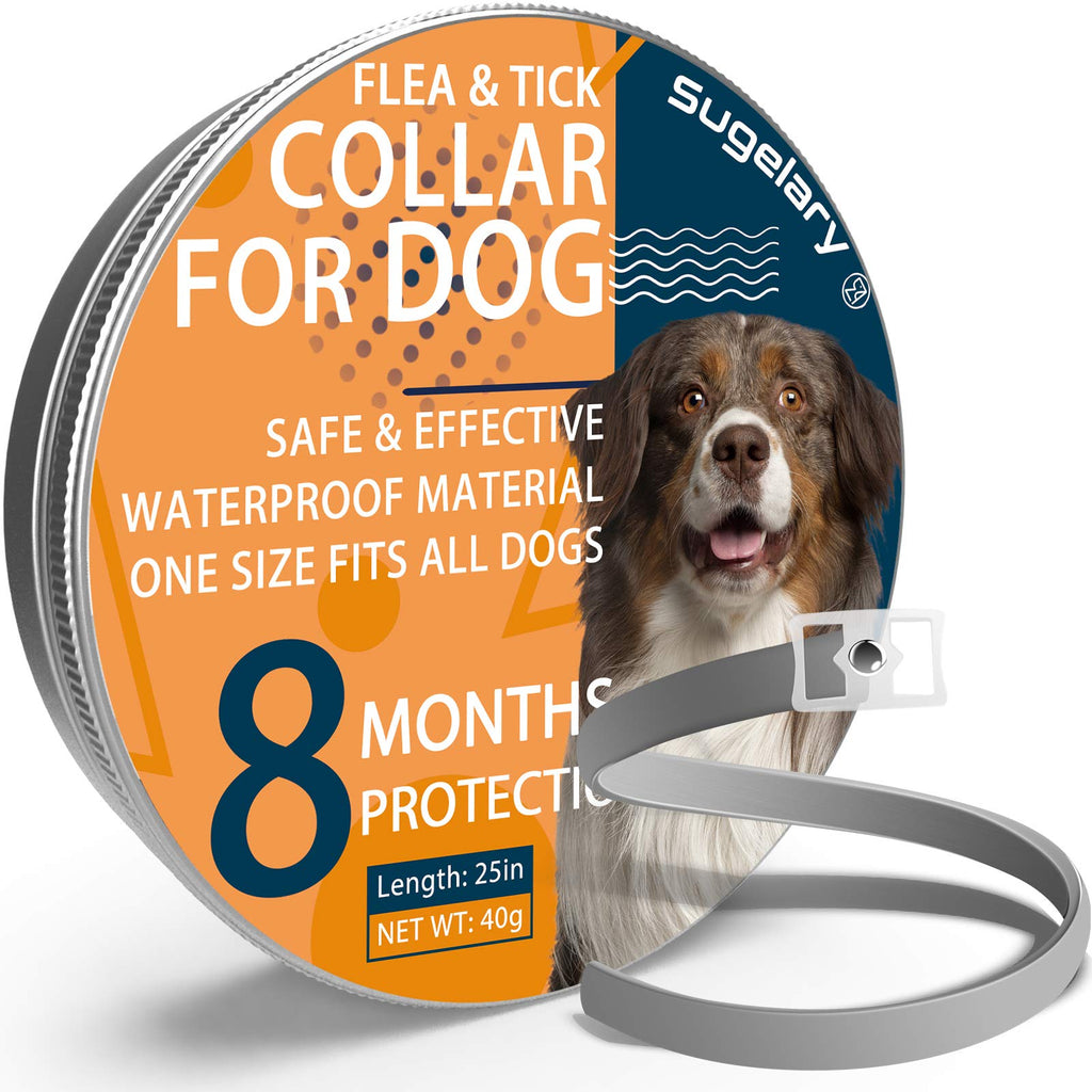 Flea and Tick Collar for Dogs, Enhanced with Natural Essential Oils 8 Months Protection/Waterproof & Nature & Safe/Repels Fleas Ticks Lices Larve (1pcs) 1pcs - PawsPlanet Australia