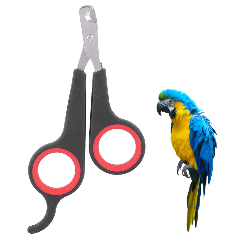 Parrot Nail Scissors, Cat Claw Clippers, Bird Grooming Tool with Sharp Blades for Parrots Guinea Pigs Ferret Hamsters - PawsPlanet Australia