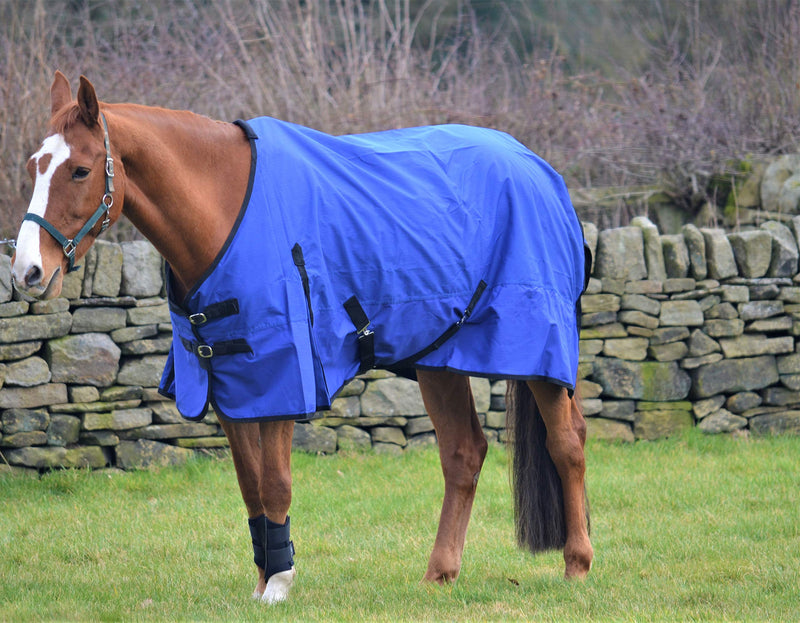 Turners Royal Blue Lightweight 0g Fill Waterproof Horse Rainsheet Turnout Rug 5'3" - PawsPlanet Australia