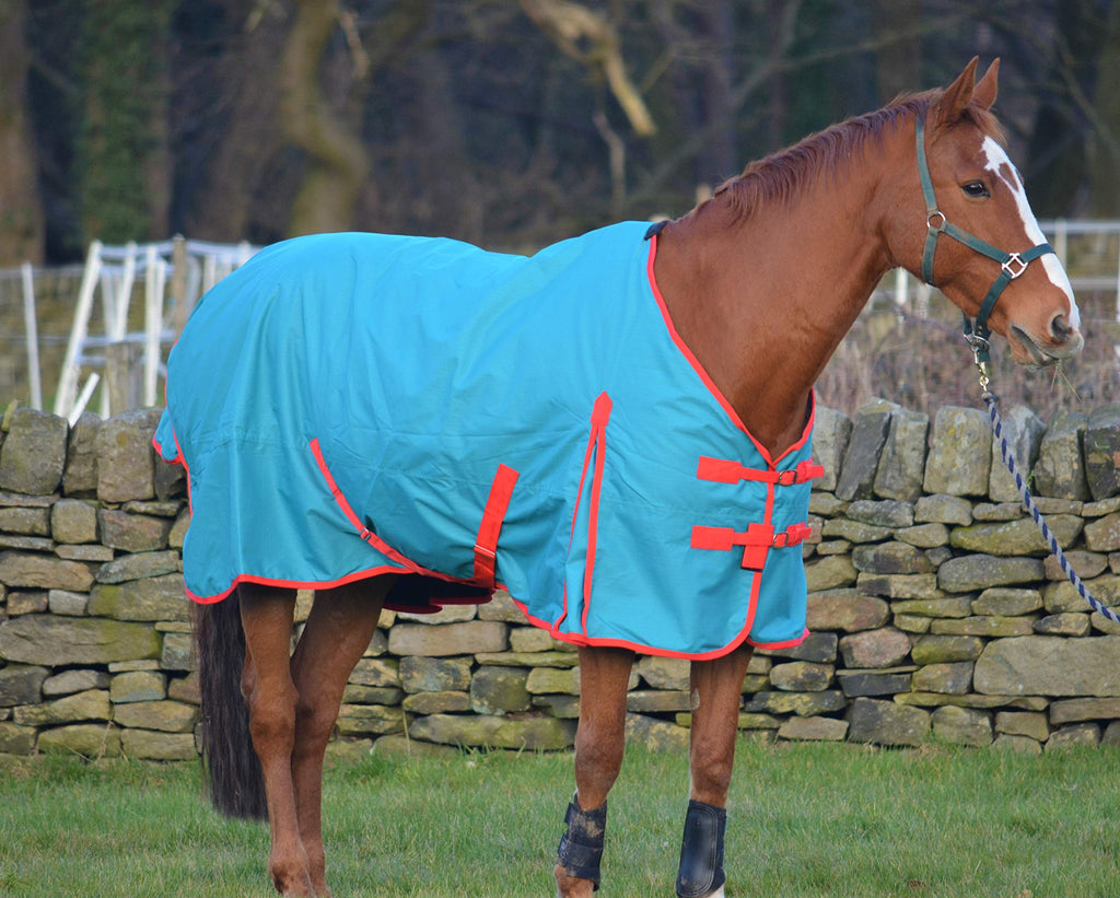 Turners Lightweight 100g Fill Waterproof Turnout Rug for Horse and Shetland Pony 3'0" - PawsPlanet Australia