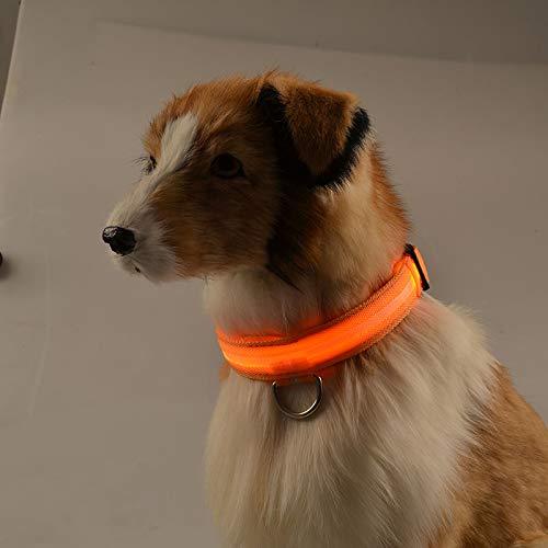 Generic LED Dog Collar | Flashing Light up Pet Collar | Adjustable Waterproof Pets Collar | Increased Visibility Super Bright, Orange, Small - PawsPlanet Australia