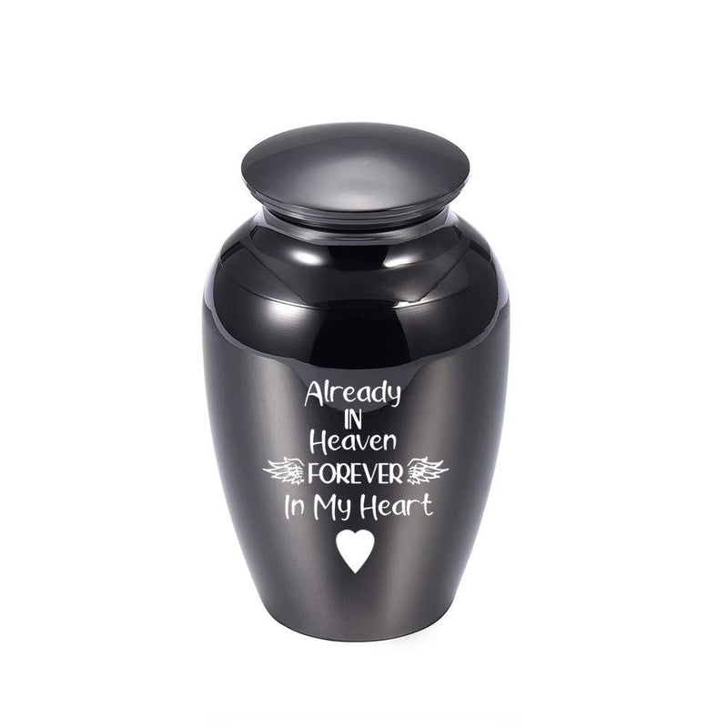 APPO The Pet Urn Is Used to Store the Burnt Ashes of Your Pet to Keep the Most Sincere Memories of You and Him Jars are Slso Exquisite Souvenirs That Can be Placed Anywhere in Your Home (Black) Black - PawsPlanet Australia