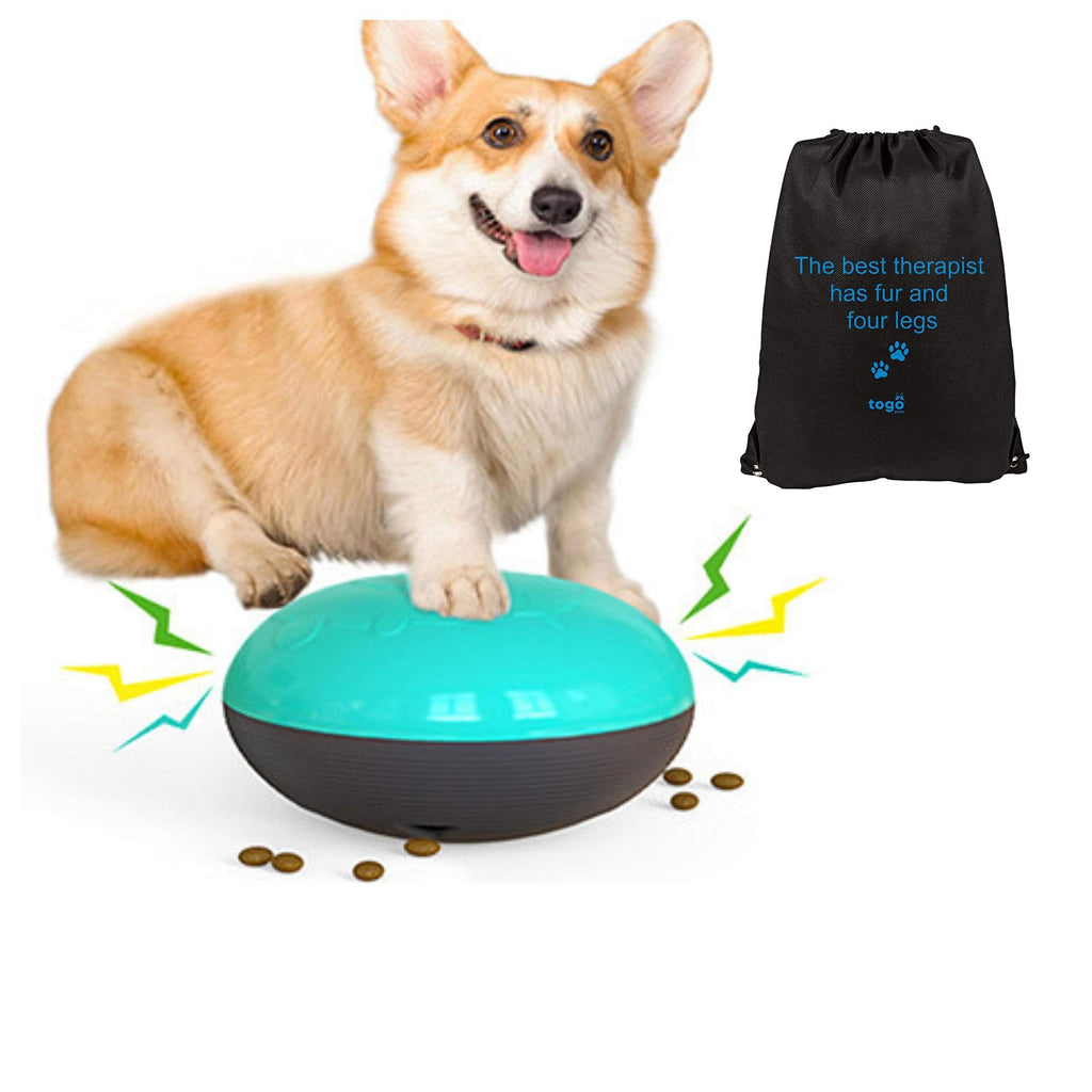 Dog food storage, dog puzzle, dog toy, dog slow feeder bowl, dog puzzle toy with a sound + dog walking bag. - PawsPlanet Australia