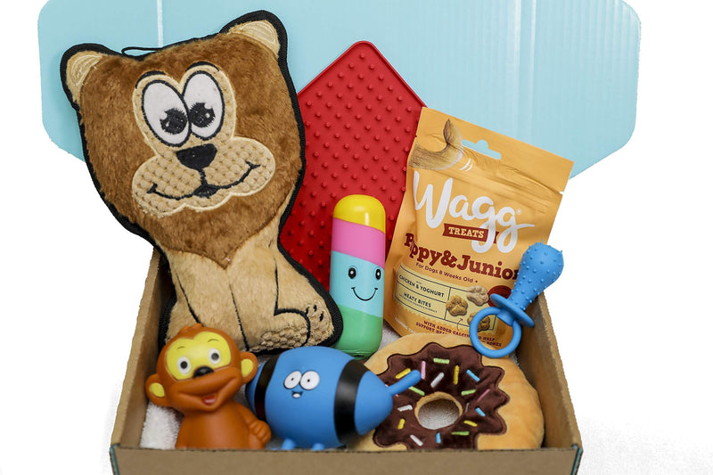 Dog Gift Box Hamper | Dog Hamper | Dog Treats | Dog Toys | Dog Birthday Present Box | Dog Box | Get well soon | Gotcha Day | Dog Gift | Blue Box | puppy Gift Set - PawsPlanet Australia
