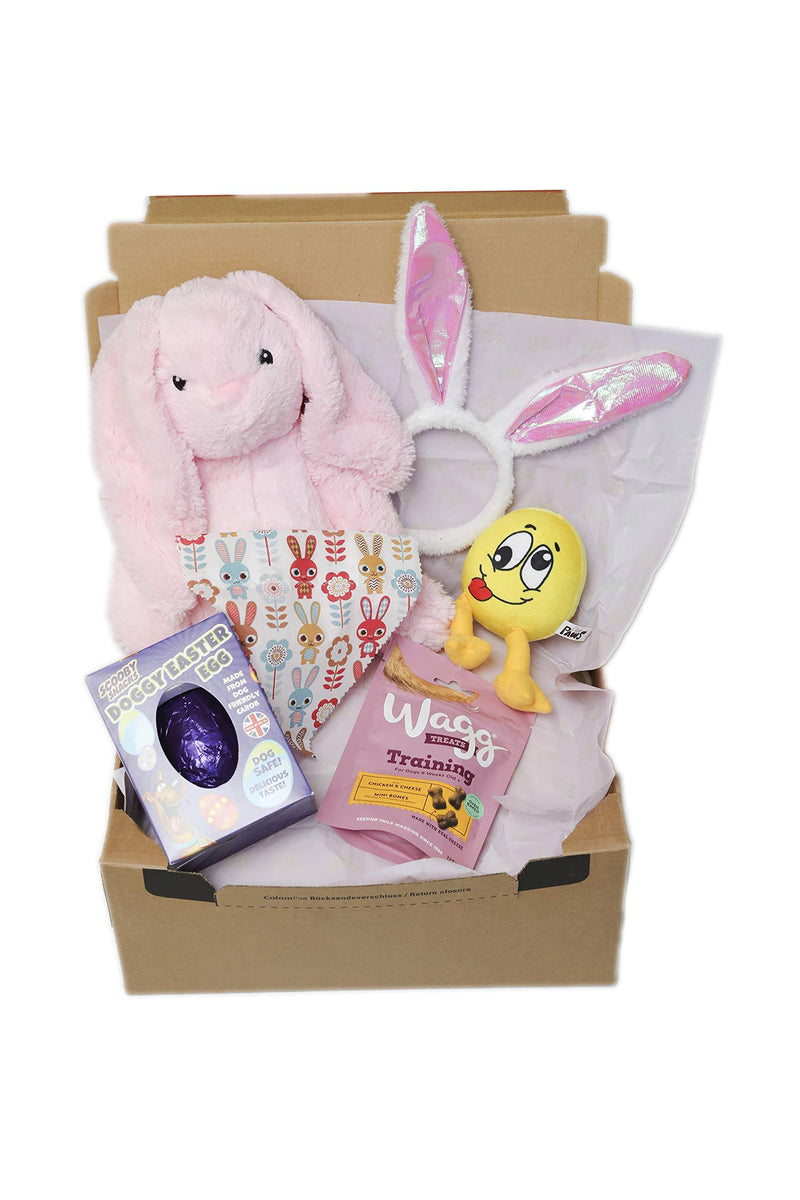Bunny Dog Hamper | Dog Gift Box | Dog Box | Dog Gift Set | Dog Plush Toy | Bunny Bandana | Rabbit - PawsPlanet Australia