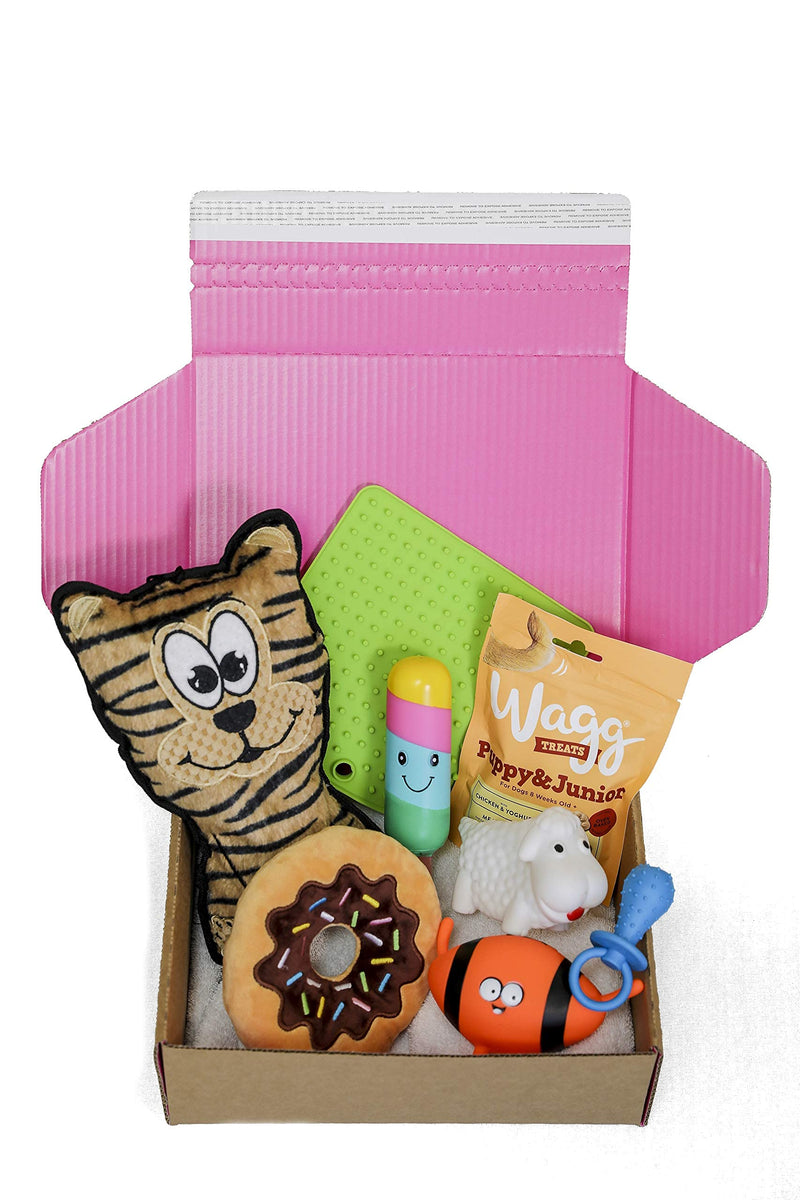 Dog Gift Box Hamper | Dog Hamper | Dog Treats | Dog Toys | Dog Birthday Present Box | Dog Box | Get well soon | Gotcha Day | Dog Gift | Pink Box | Dog Gift Set - PawsPlanet Australia
