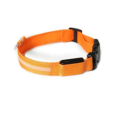 Led Dog Collar - Waterproof Light Up Dog Collar, Safety Pet Collar - Flashing Light Collar for Small, Medium, Large Dogs Orange L (18.9-22"/48-56cm) - PawsPlanet Australia