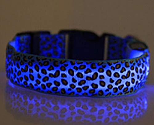 Light Up Dog Collar, Lighting Glowing Pet Dog Collar for Night Safety with USB Rechargeable Super Bright LED Dog Flashing Collar for Small Medium Large Dogs Blue-1 M (15.8-18.8"/40-48cm) - PawsPlanet Australia