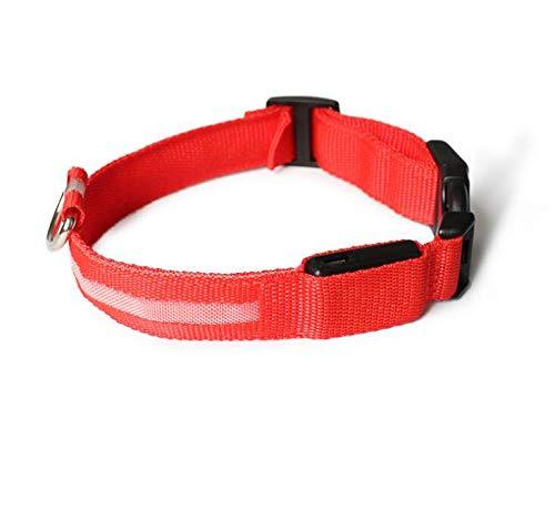 LED Dog Collar Dog Collar Reflective Super Bright Flashing Nylon USB Rechargeable Safety Pet Collar with 3 Light Mode Red L (18.9-22"/48-56cm) - PawsPlanet Australia