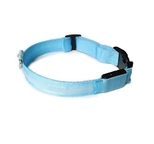 LED Dog Collar - Rechargeable Dog Collars, Flashing Light Collar for Small, Medium, Large Dogs, Basic Dog Collars Blue S (12.6-15.7"/ 32-40cm) - PawsPlanet Australia