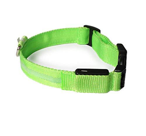LED Dog Collar Rechargeable Lighted Dog Collar Adjustable 3 Flashing Modes 10 Hours Working Time Dog Safety Reflective Collar Green S (12.6-15.7"/ 32-40cm) - PawsPlanet Australia