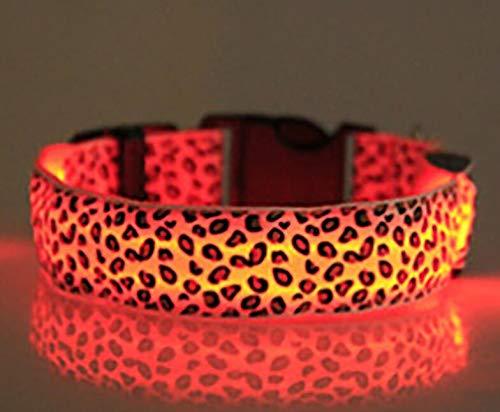LED Dog Collar, USB Rechargeable, Glowing pet Dog Collar for Night Safety, Fashion Light up Collar for Small Medium Large Dogs Orange-1 M (15.8-18.8"/40-48cm) - PawsPlanet Australia