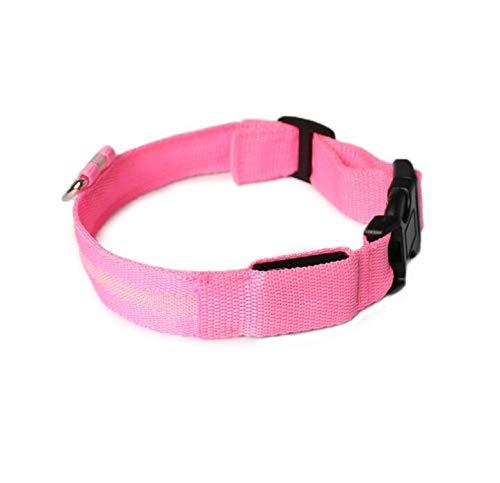 LED Dog Collar - 100% Waterproof Light Up Safety Pet Collar - Rechargeable Flashing Light Collar with Fiber, Basic Dog Collars Pink M (15.8-18.8"/40-48cm) - PawsPlanet Australia