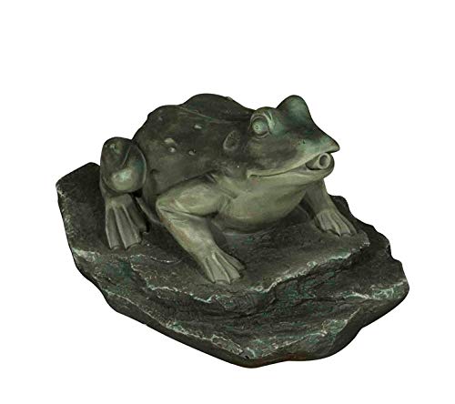 Bermuda Frog On Lily Pad Pond Spitter Water Feature - PawsPlanet Australia