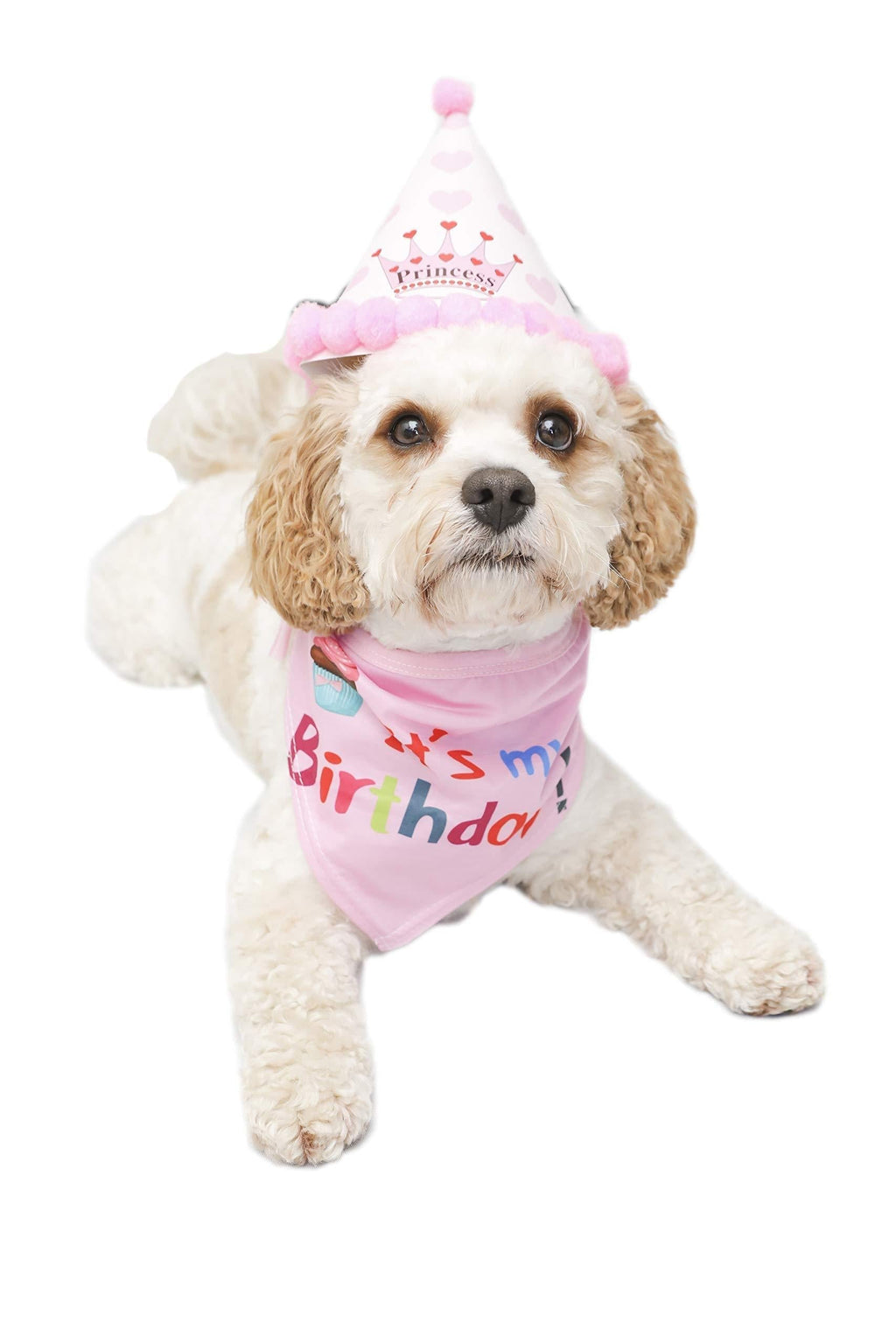 Dog Birthday Bandana and Party hat PINK for the Girls | Dog Bandana | Dog birthday hat | Dog Accessories | Dog Birthday | Pet Birthday - PawsPlanet Australia