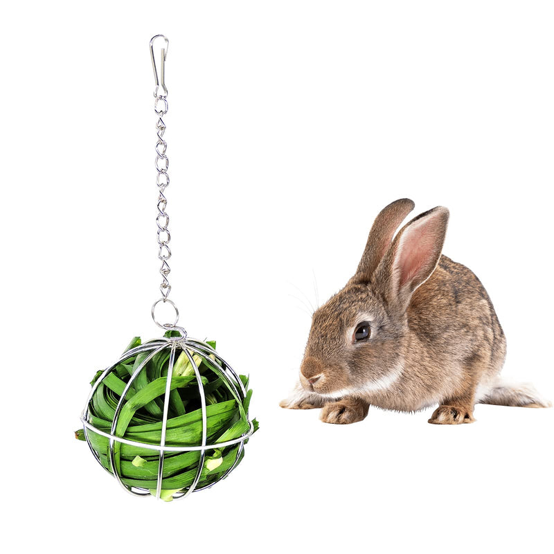 Andiker Rabbit Hay Feeder, Stainless Steel Hay Ball Multifunctional Rotating Grass Ball for Small Animals Such as Rabbits, Chinchillas and Guinea Pigs for Hay Manage (9cm) - PawsPlanet Australia