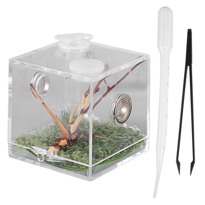 POPETPOP 3pcs Reptile Breeding Box Clear Acrylic Reptile Cage Habitat Insect Feeding Box Climbing Pet Terrarium Tank with Dropper Tongs for Spider Lizard Scorpion - PawsPlanet Australia