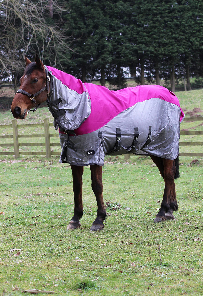 Horse Fly Rug With Waterproof Turnout Top 600 D Lightweight Horse Fly Rug Mesh Raspberry/Grey (5'6'', RASPBERRY/GREY) 5'6'' - PawsPlanet Australia