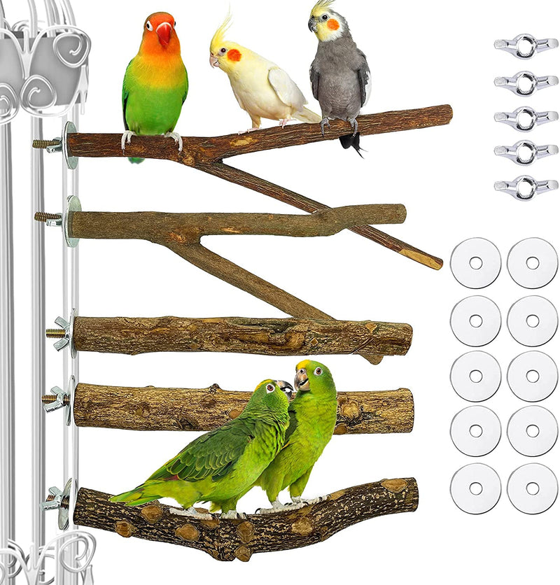 Ubaywey 5 PCS Bird Parrot Perches for Cage 9.84 inches Natural Wood Perch Platform Stand for Parrots Birds Cage Parakeets Cockatiels Conures Cages Accessories (5 PCS) - PawsPlanet Australia