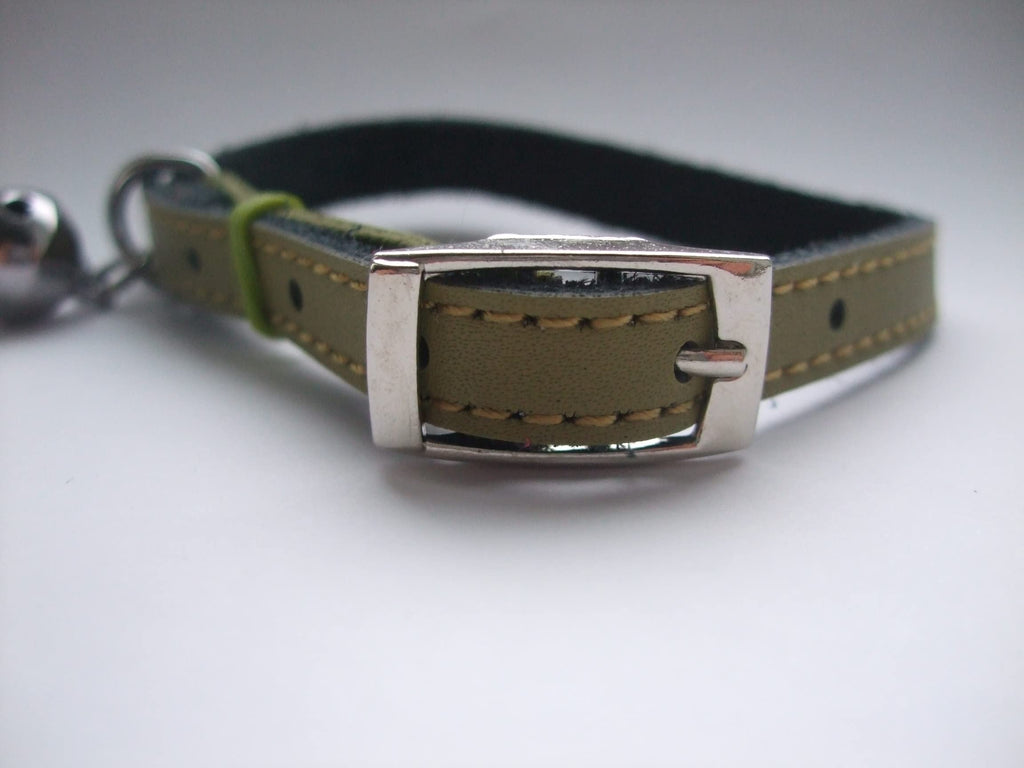 CatS Leather Collar, Genuine, Real, safety elastic, bell, buckle, Green - PawsPlanet Australia