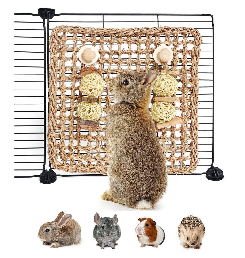 YUNXANIW Guinea Pig Toys, Hamster Toys Syrian, Rabbit Boredom Breaker, Teething Toys for Small Animals to Gnaw and Relieve Boredom, Rat Toys and Accessories for Cage, Seagrass Mat With Chewing Toys - PawsPlanet Australia