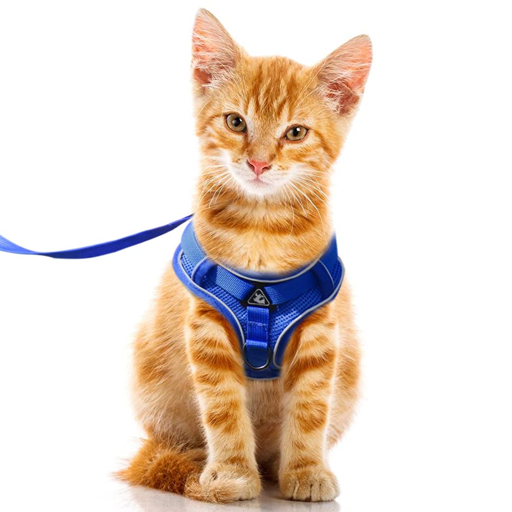 FEimaX Cat Harness and Leash Set for Walking Escape Proof Adjustable Cat Step-in Vest with Reflective Strip, Soft Mesh Small Dog Harnesses for Kitten Puppy Rabbit S Blue - PawsPlanet Australia