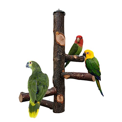 QeeHeng Bird Stand Perch,Natural Wood Parrot Perch Bird Cage,Bird Cage Perches for Parrots,Small Parakeets Cockatiels, Macaws, Parrots, Love Birds, Finches - PawsPlanet Australia
