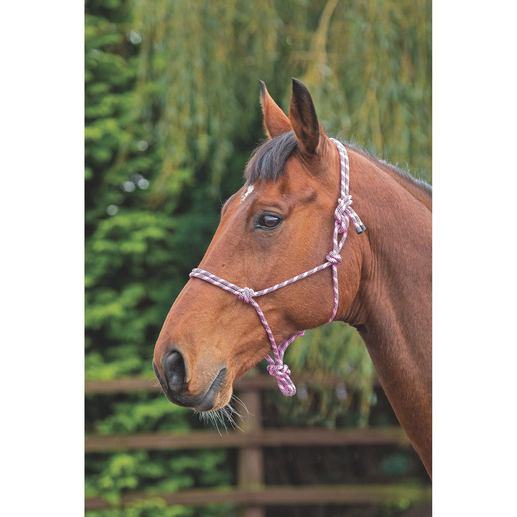 Shires Rope Control Headcollar Purple/Black - PawsPlanet Australia