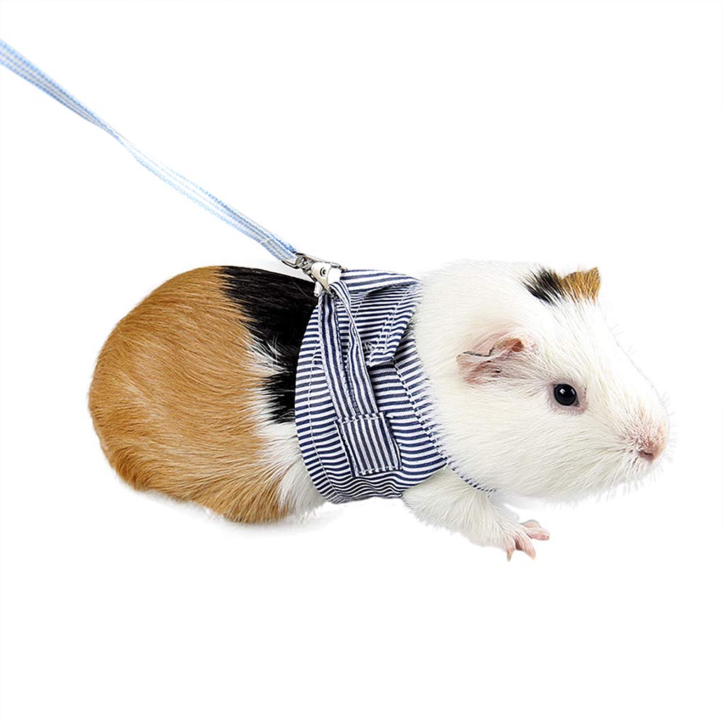 FakeFace Guinea Pigs Safety Harness Soft Adjustable Stripe Pet Outdoor Walking Harness Vest Lead Rope for Rats Hamster Hedgehogs Ferrets Squirrels Small Animal Pet Training or Walking Blue - PawsPlanet Australia
