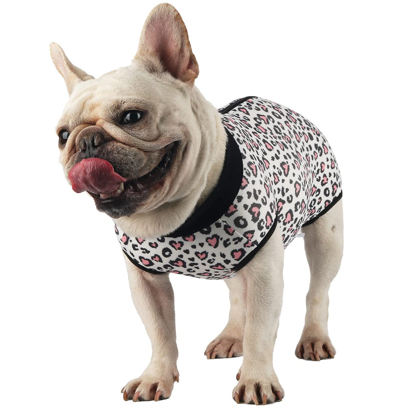 Due Felice Surgical Recovery Suit for Female Male Dog Cat Recycled Fabric Doggy Surgery Onesie After Surgery Wear Pet Cone Alternative for Abdominal Wounds Skin Diseases Bee/XS XS(Chest:13.8"/35cm;Back:10.2"/26cm) - PawsPlanet Australia