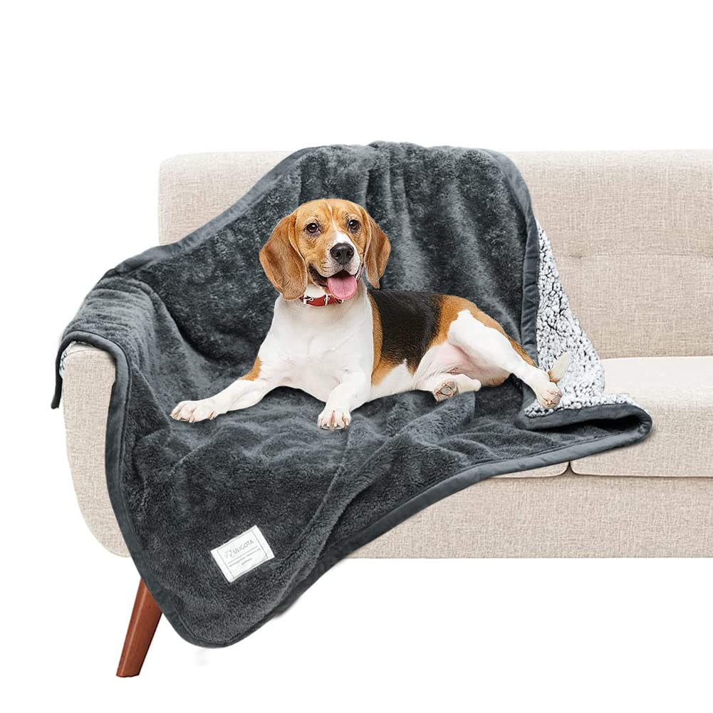 Waterproof Dog Blankets Soft Fluffy Reversible Sherpa Throw Blanket for Dog & Cat Warm Pet Throw Blanket for Couch/Bed/Sofa Protecetion Lightweight and Easy to Carry 40"x32 Slate - PawsPlanet Australia
