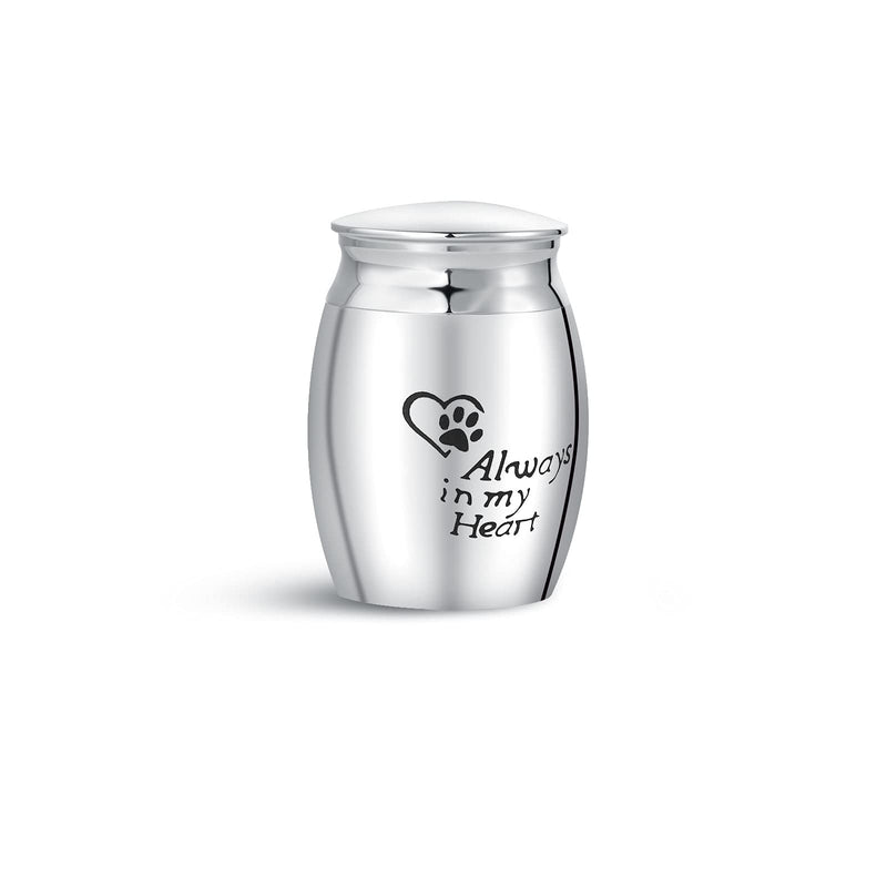 FGT Urns for Ashes Small Mini Dog Puppy Cat Kitten Bird Pets Cremation Memorial Keepsake Paw Print Always In My Heart - PawsPlanet Australia