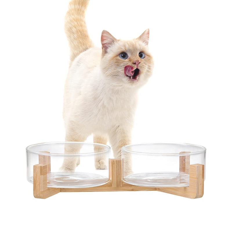 Glass Dog Bowl Set - Cat Dog Bowls with Non Slip Wood Stand - No Spill Double Pet Dish for Food Water Feeding (2 Cup- Suitable for cat and small dog) Glass×2 - PawsPlanet Australia