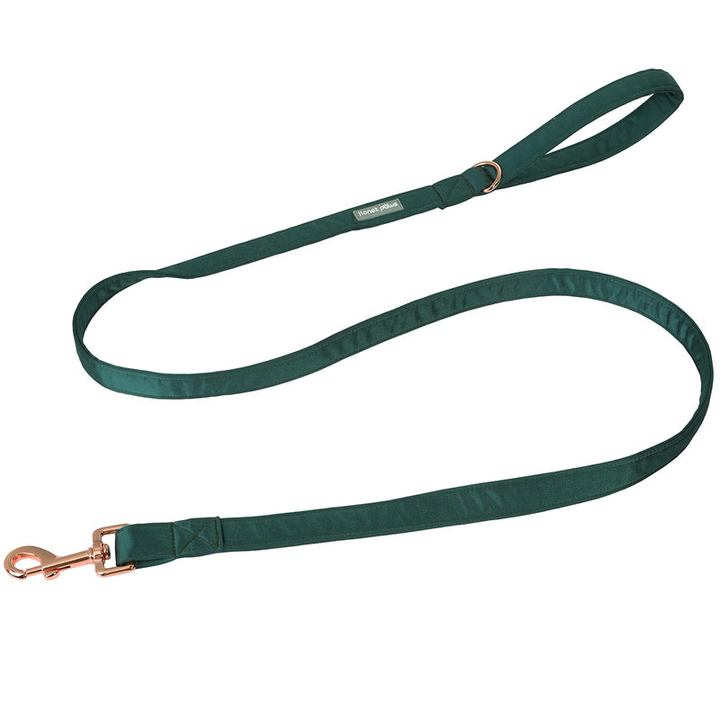 Lionet Paws Dog Leash - Silk Black Green Leash for Small Medium Large Dogs Matching Collar for Girl and Boy Lead-XS (Pack of 1) - PawsPlanet Australia