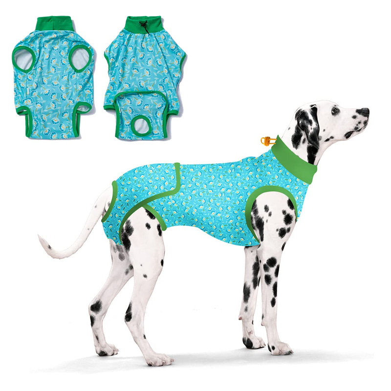 Petwarm Dog Recovery Suit, Puppy Surgery Shirt with Diaper, Cone Alternative After Sugery Soft, Easy to Put?Poo Blue XS - PawsPlanet Australia