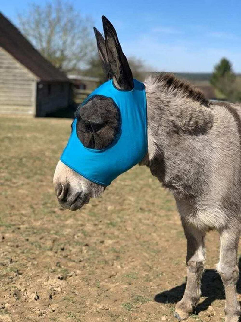 Ruggles Donkey Pull On Fly Mask With Ears (S - XL) (S, Aqua) S - PawsPlanet Australia