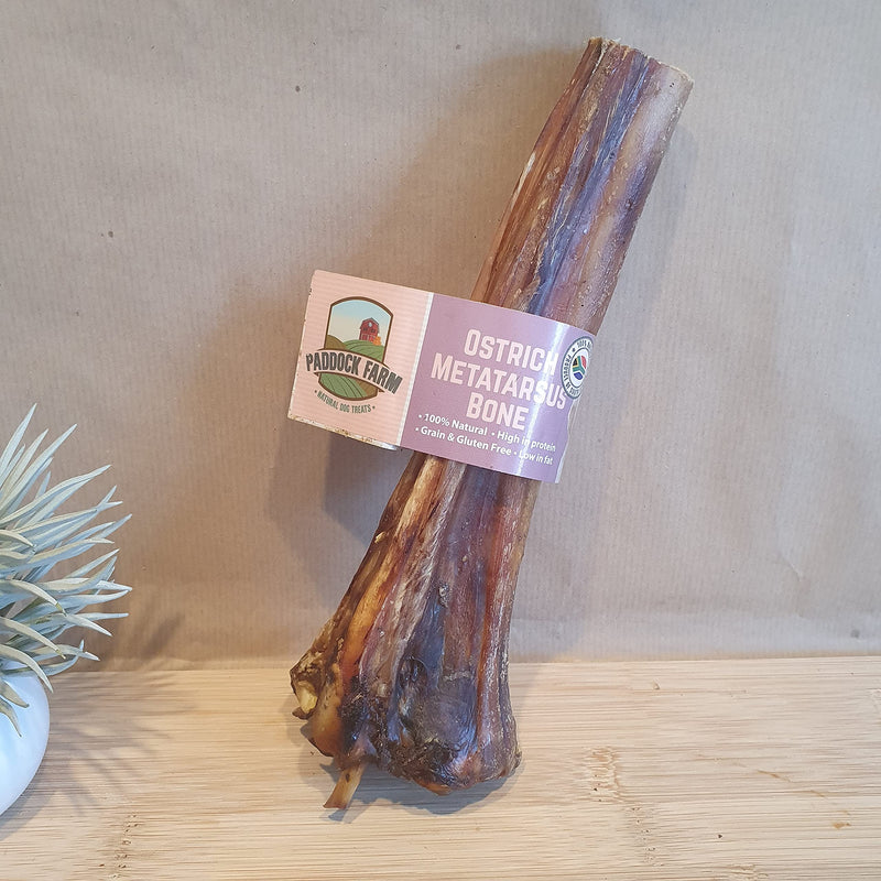 Ostrich Metatarsus Large Bone for Dogs. - PawsPlanet Australia