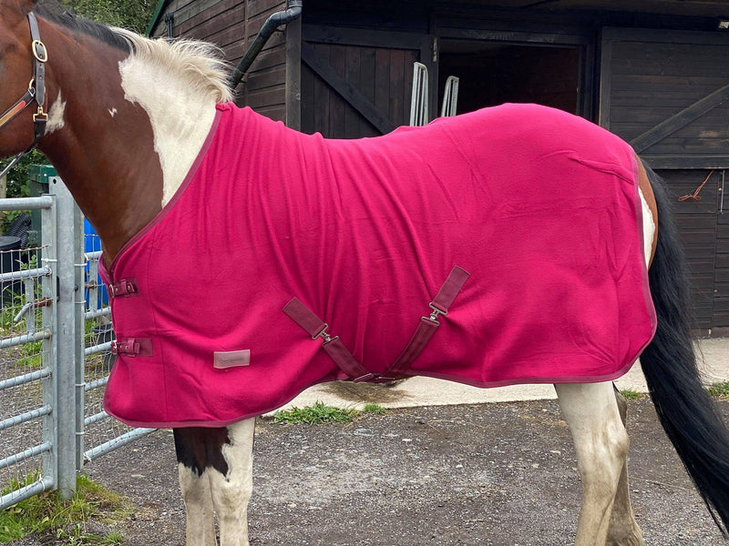 Equipride Horse Fleece Rug/Travel rug made on 260 gsm Fleece for Shetland, Pony Horse Size 3'0" to 7'0" BURGUNDY (3'3") 3'3" - PawsPlanet Australia